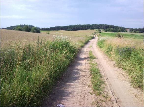 Fajne Miejsce Jeziorany Exterior foto