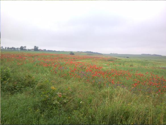 Fajne Miejsce Jeziorany Exterior foto